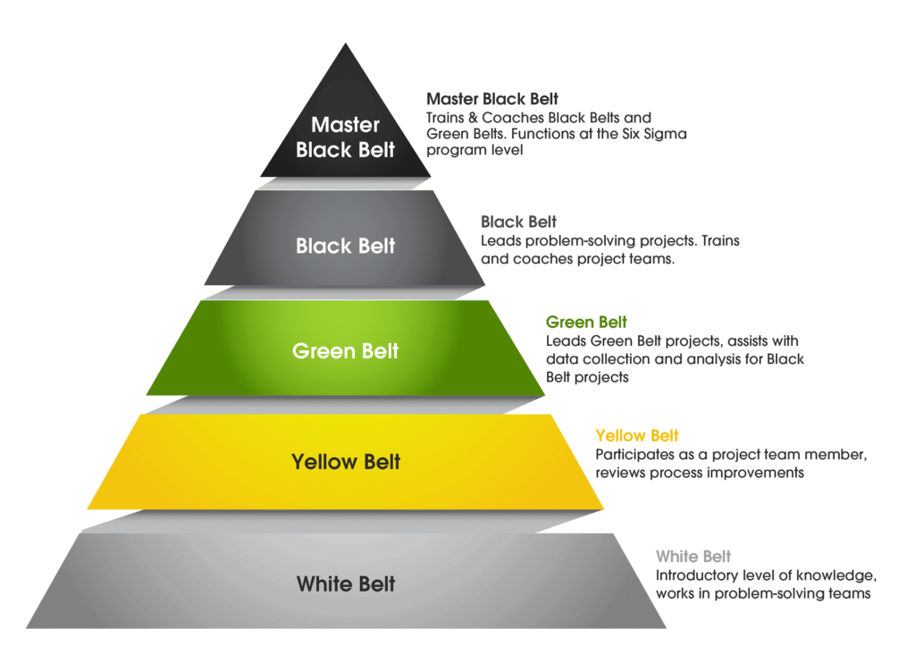 Lean Six Sigma Levels-Lean Six Sigma Curriculum Experts